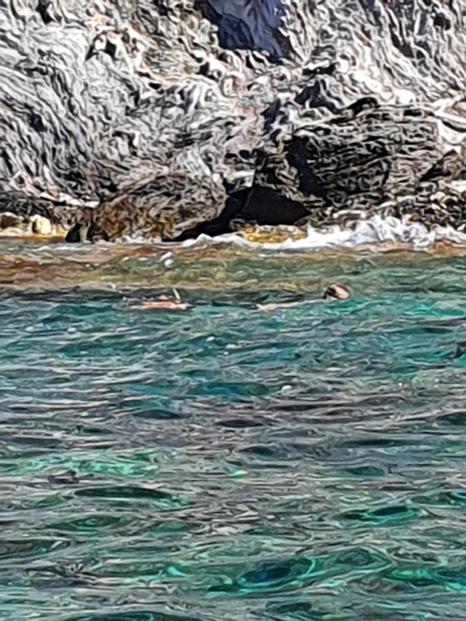 Porquerolles - Nuit Insolite A Bord Du Defi Fou Exterior photo
